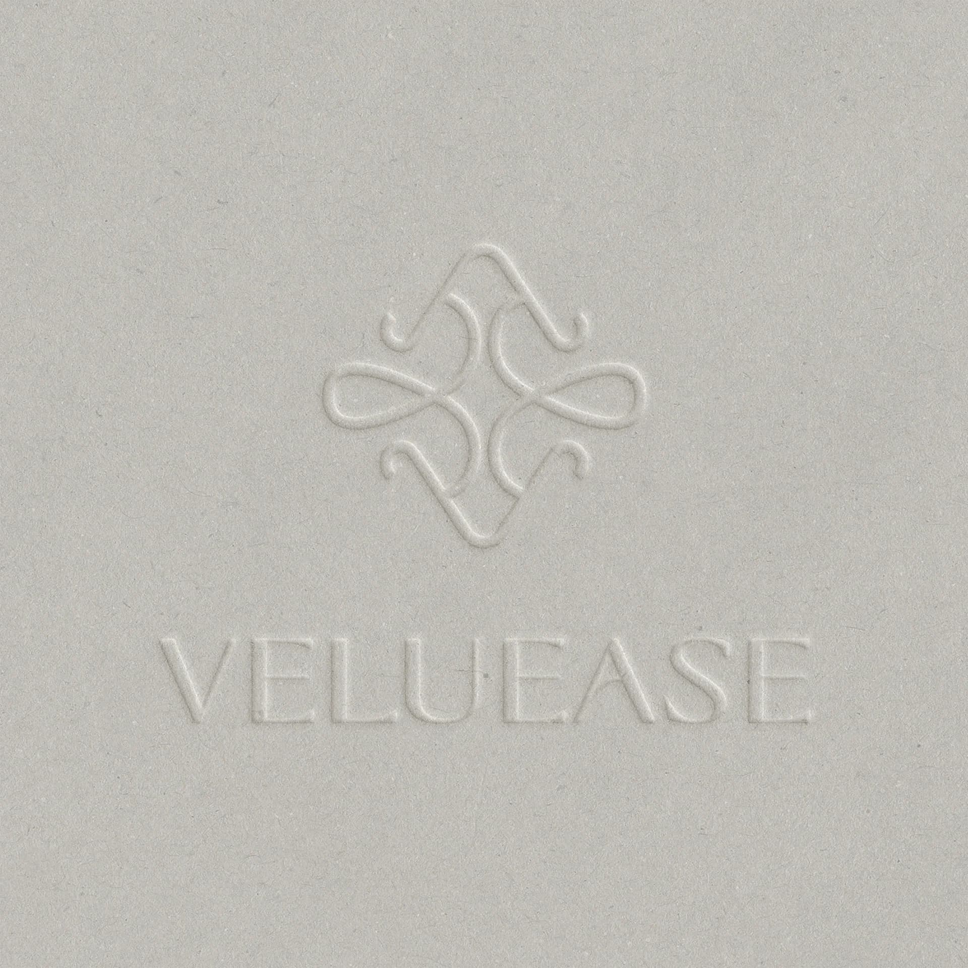 Veluease 프로젝트 이미지 11